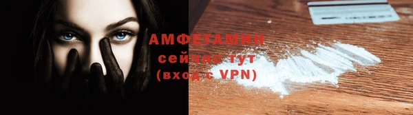 ПСИЛОЦИБИНОВЫЕ ГРИБЫ Новозыбков