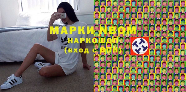 ПСИЛОЦИБИНОВЫЕ ГРИБЫ Новозыбков