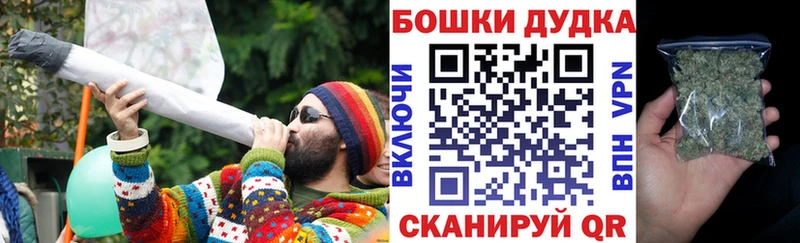 как найти наркотики  Зеленодольск  Бошки марихуана конопля 